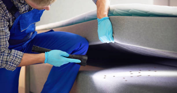 Best Emergency Pest Control  in St Pete Beach, FL